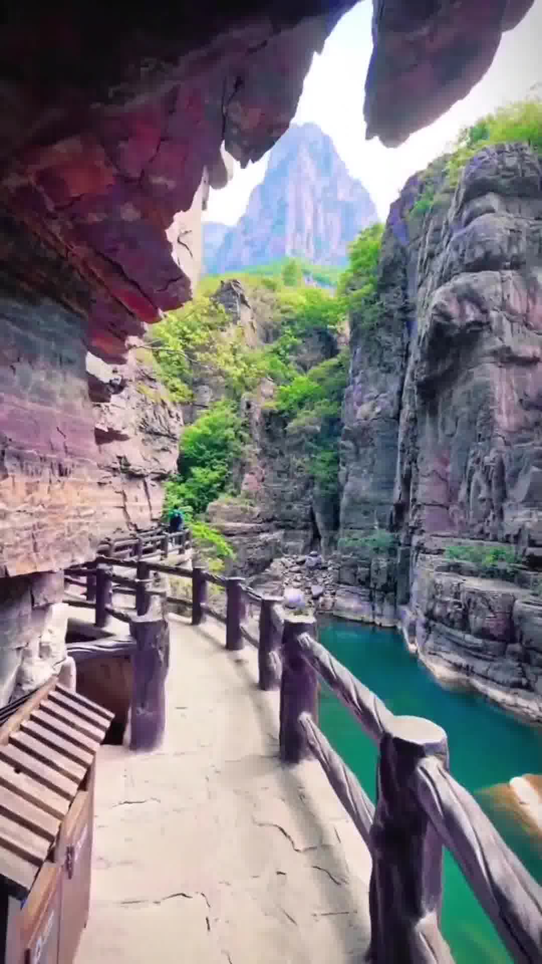 河南之光，自信、变化与梦想的励志之旅