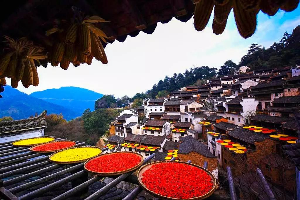 江西,红色摇篮,绿色家园的交融之地