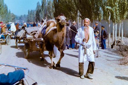 探寻新疆，梦幻之地的绝美之旅